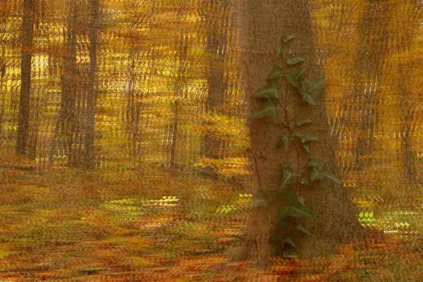 Öröklét az elmúlásban