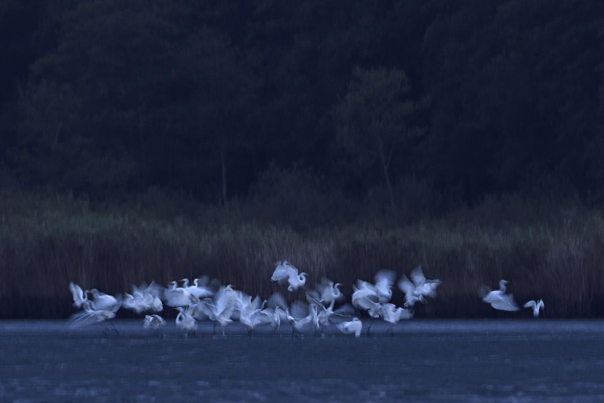 Násfayné Kőházi Mária