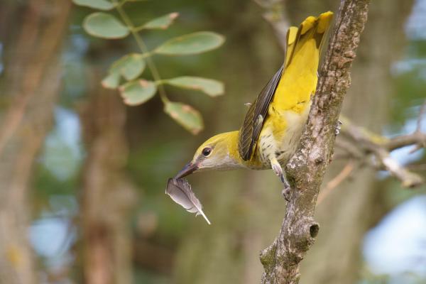 Lehetek a játékszered..?