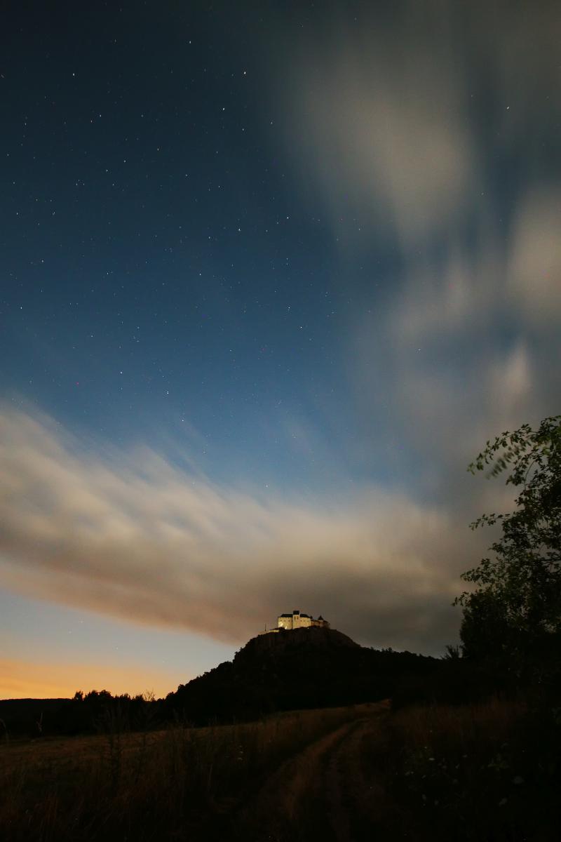 Koncz-Bisztricz Tamás