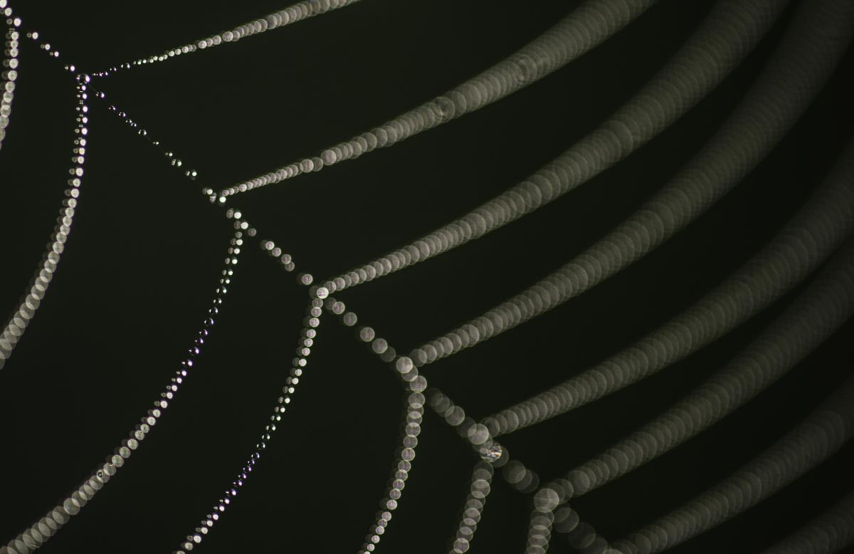 Darányiné Bakos Éva