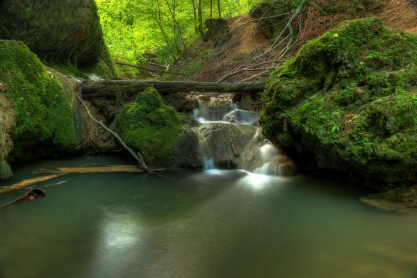 Csepegő sziklánál