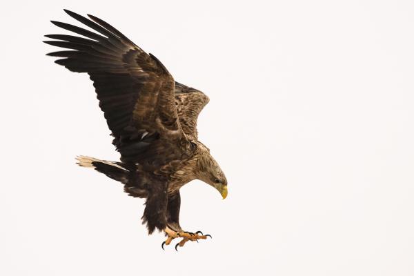 Landolásra felkészülni