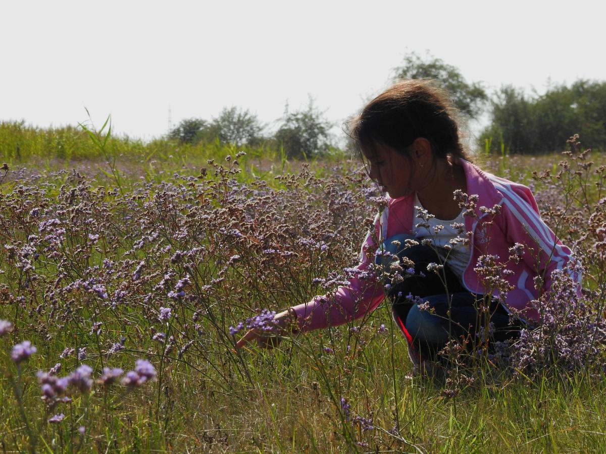 Koncz-Bisztricz Tamás