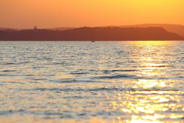 Az apátság árnyékában