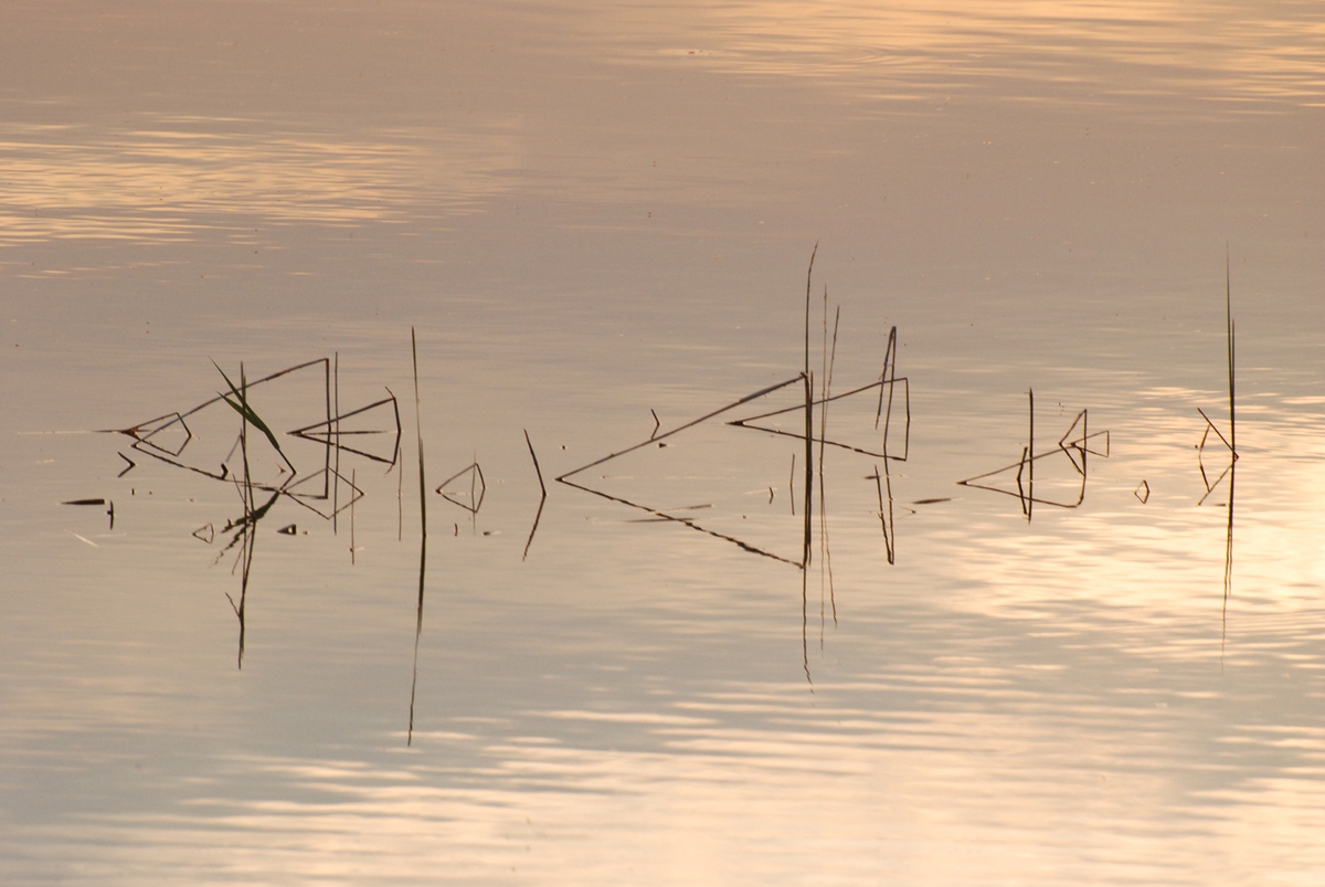 Gaál Zoltán Péter