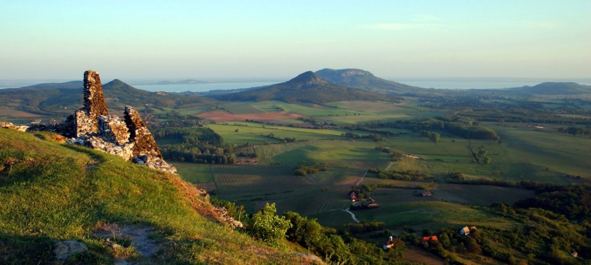 Gaál Zoltán Péter