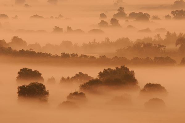 Köd előttem, köd utánam