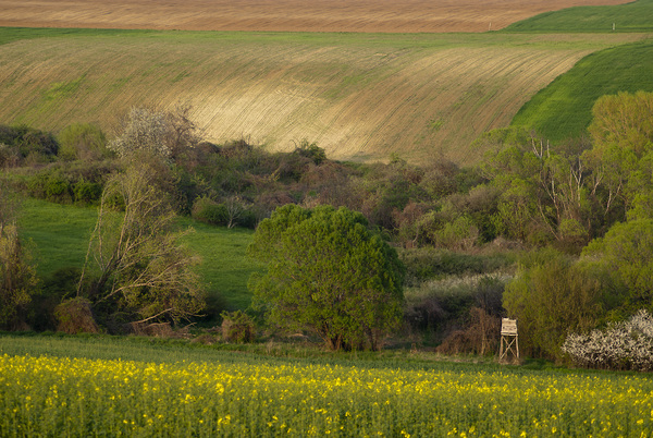 Hosszúhetényi lankák
