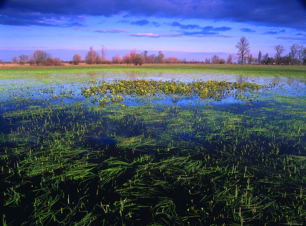A Kurjantó tavasszal