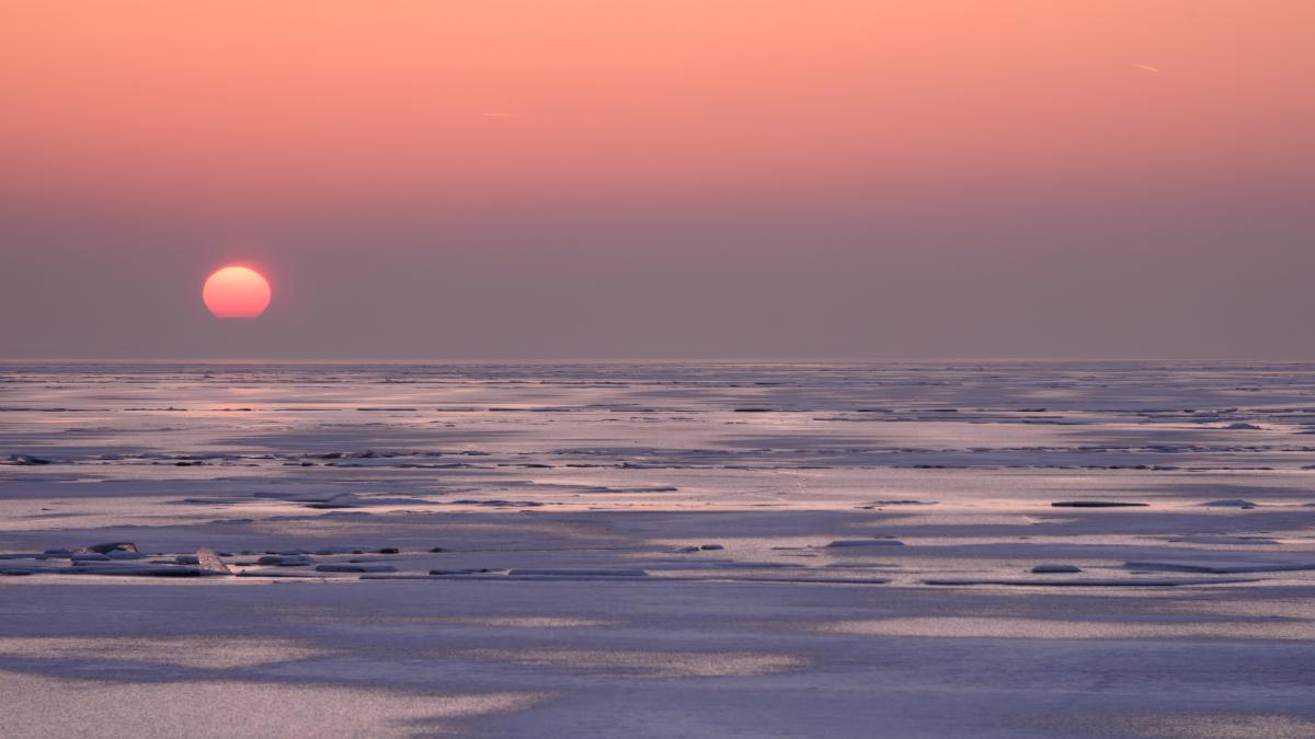 Szakolczai Krisztina