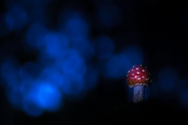 Alkonyatban tündöklő