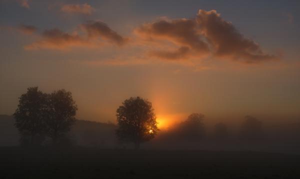 A felkelő nap fája