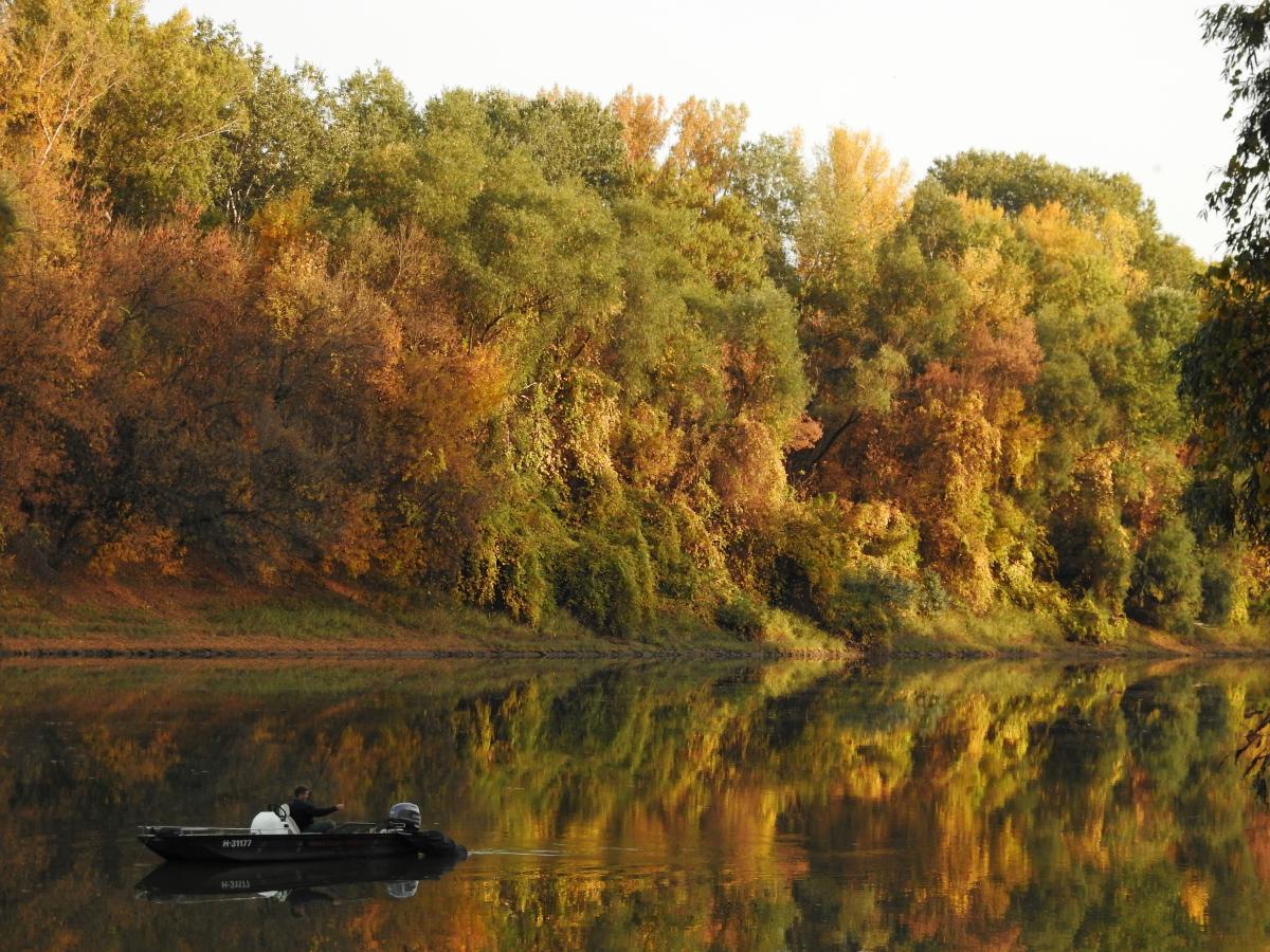 Koncz-Bisztricz Tamás