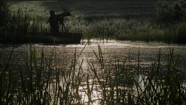 Jégmadarak nyomában