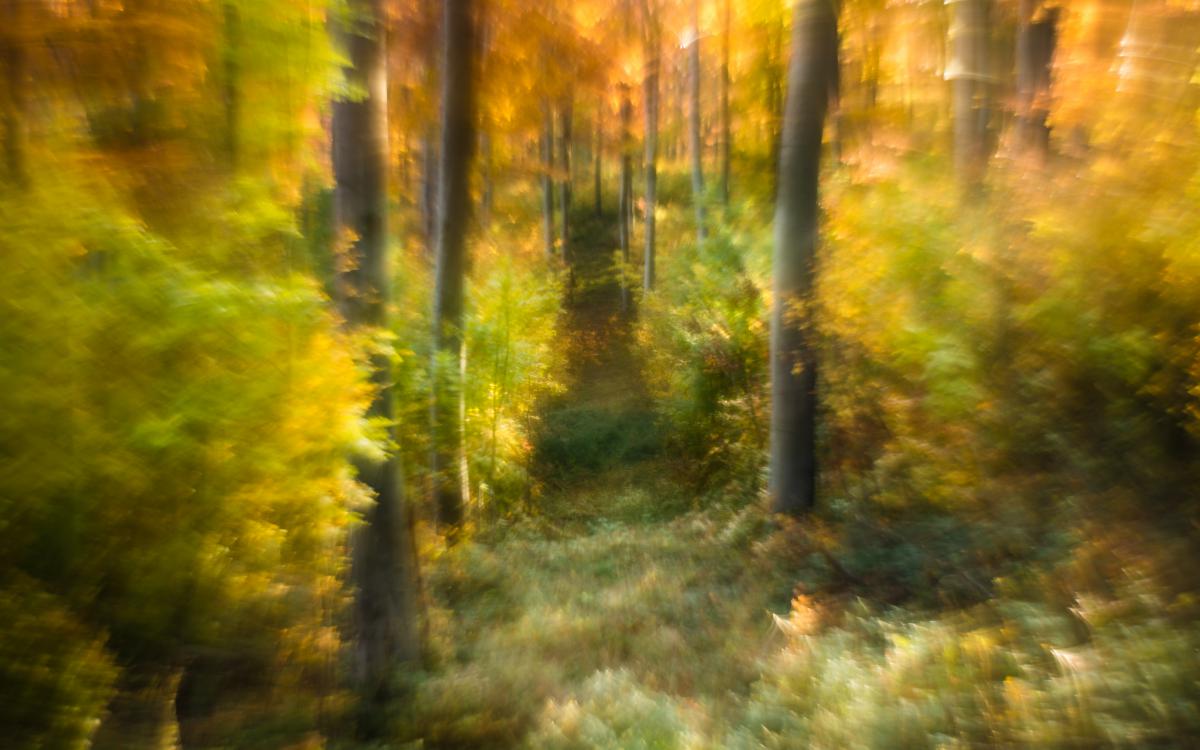 Szakolczai Krisztina