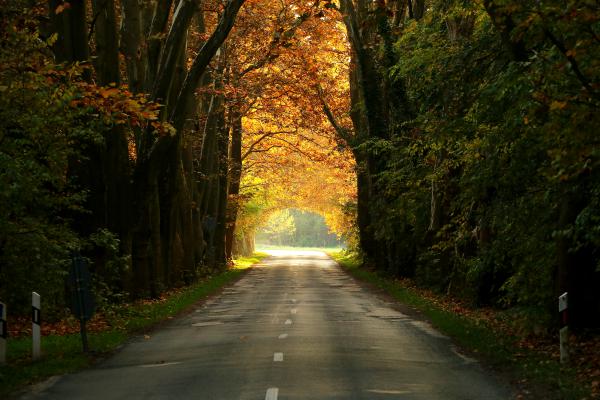 Fény az alagút végén