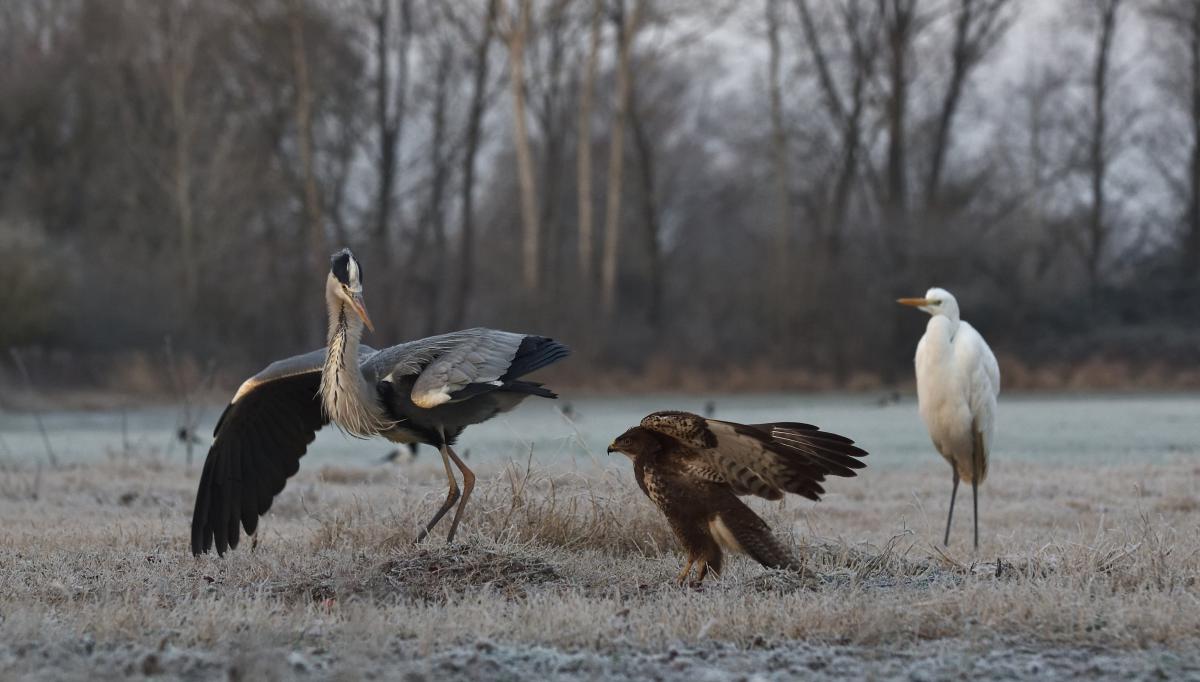 Násfayné Kőházi Mária