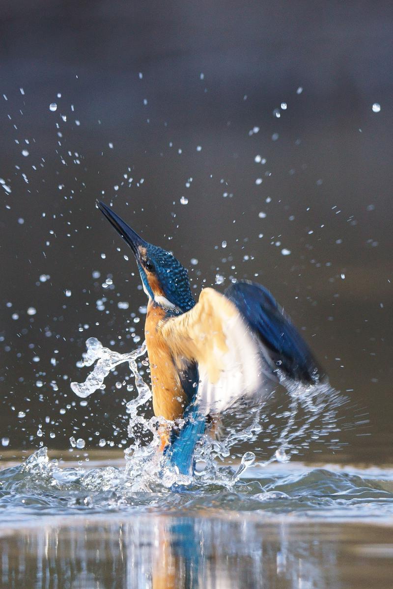 Kalmár Lajos Gábor