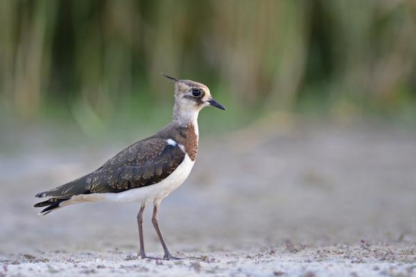 Ilyenek a mai fiatalok