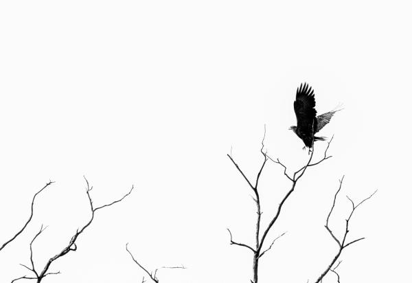 Levegő ura minimál