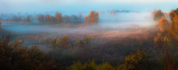 Köd a mocsár felett