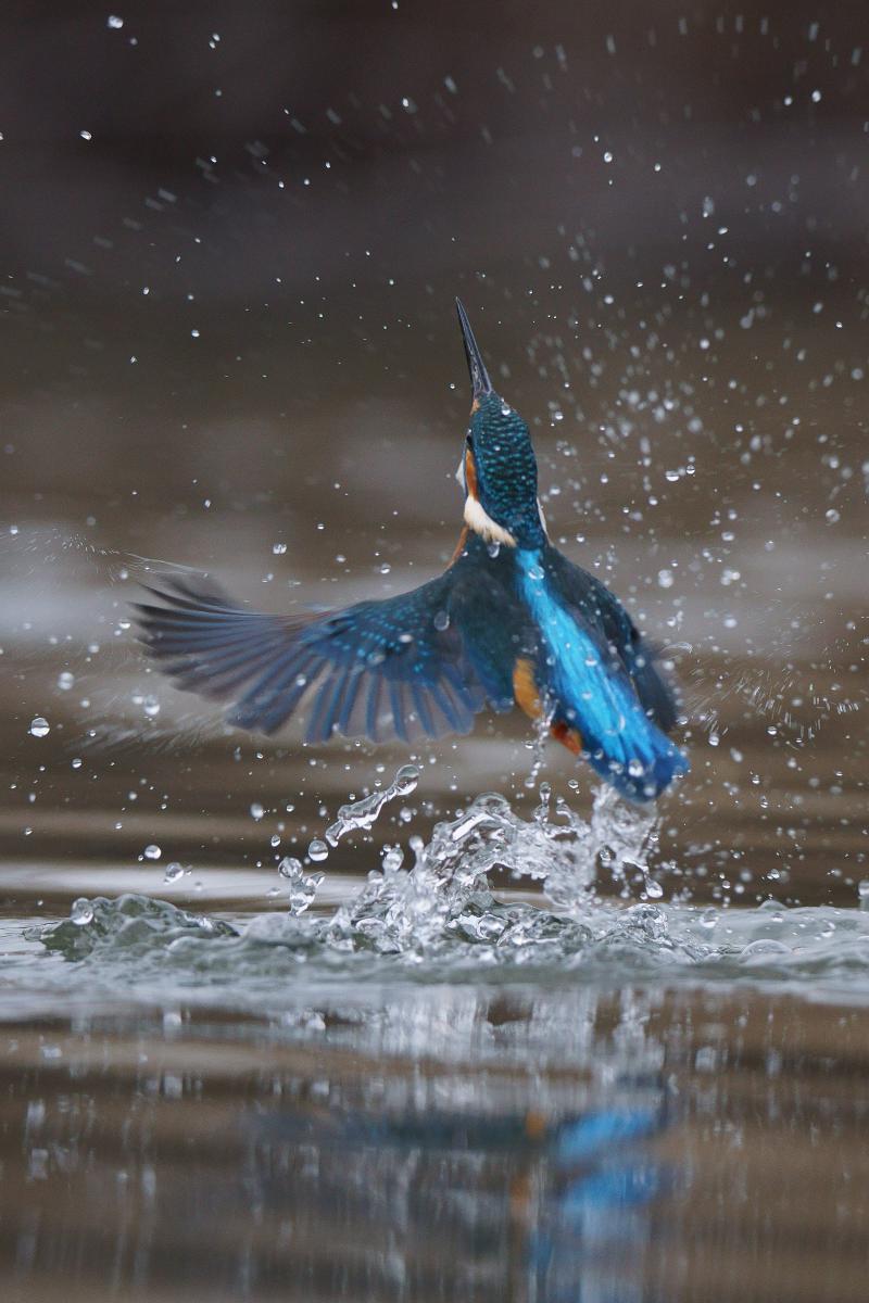 Kalmár Lajos Gábor