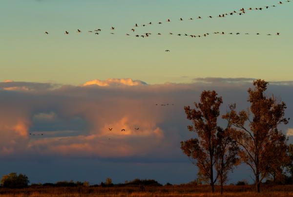 Egy este a Hortobágyon