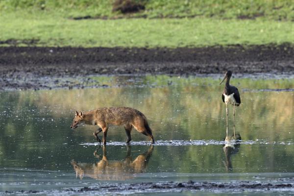 Hogy ki mindenki jár erre...!