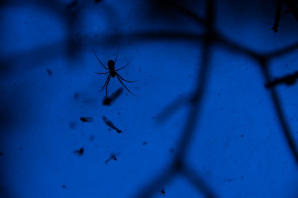 Egy lakoma maradékai