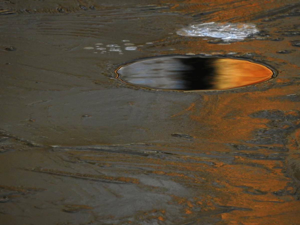 Koncz-Bisztricz Tamás