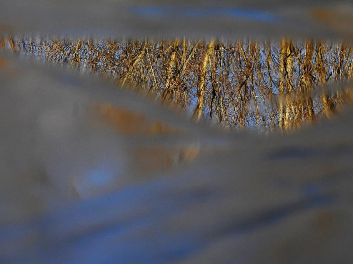 Koncz-Bisztricz Tamás