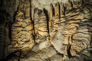 Alkot a természet Alkot a természet