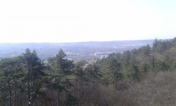 Nagykovácsi túra 2017