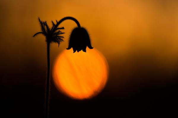 Nekem lámpást adott az Úr!