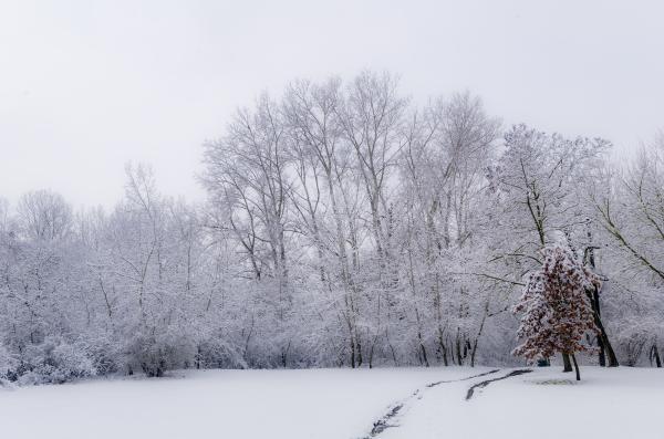 Fentfelejtett levelek