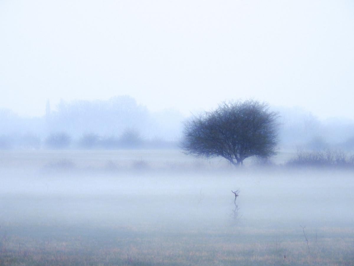 Koncz-Bisztricz Tamás