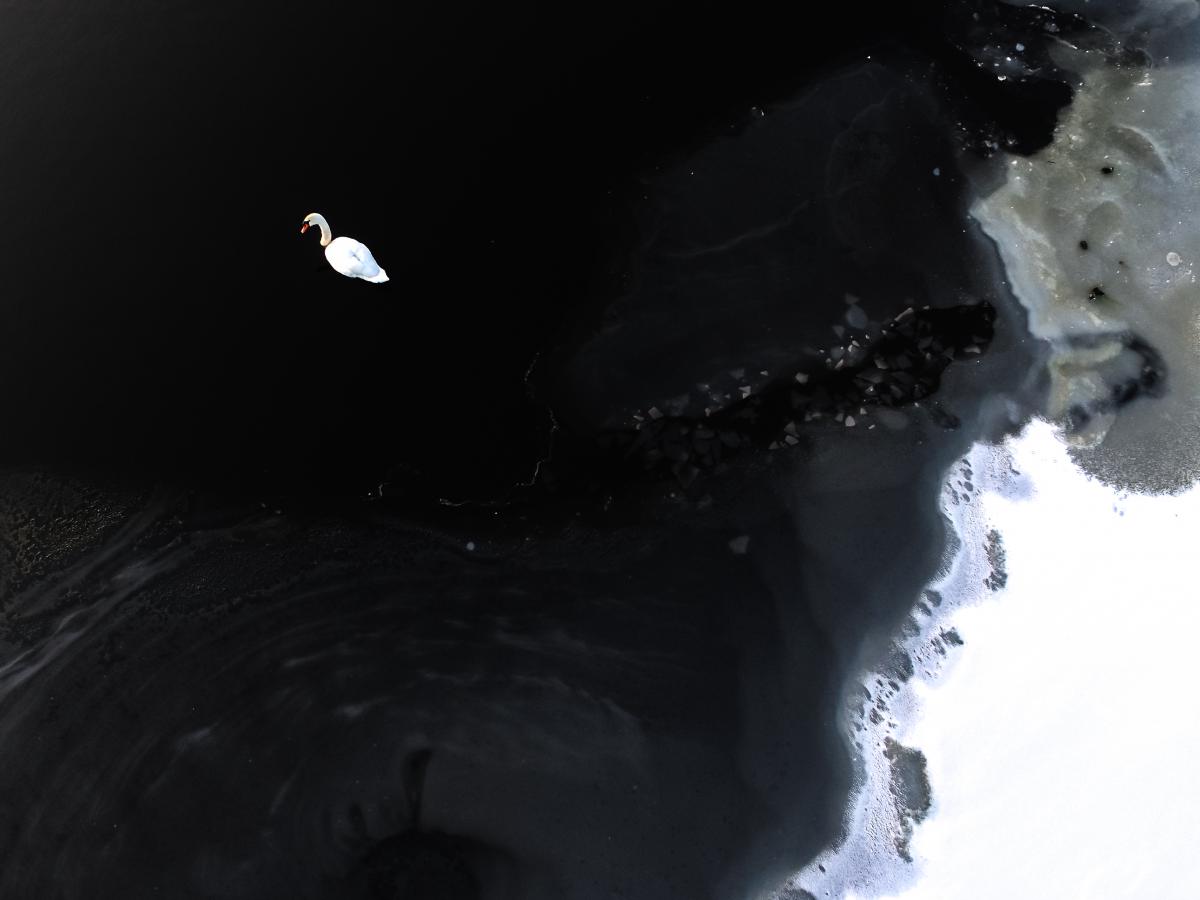 Koncz-Bisztricz Tamás