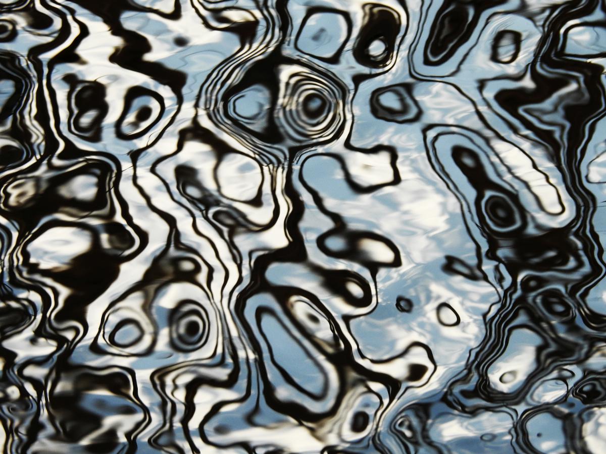 Koncz-Bisztricz Tamás