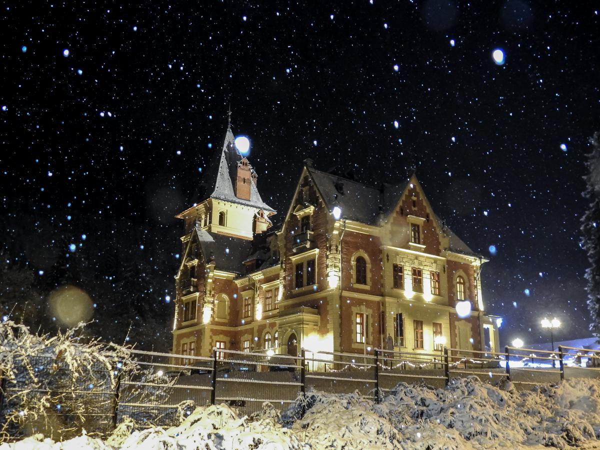 Koncz-Bisztricz Tamás