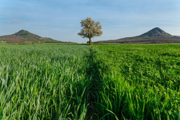 Középpontban a tavasz