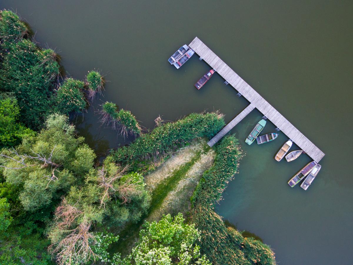 Koncz-Bisztricz Tamás