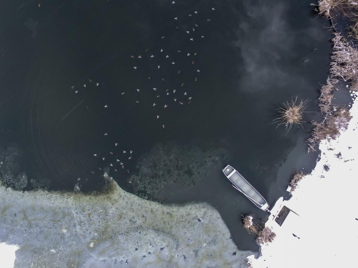 Koncz-Bisztricz Tamás