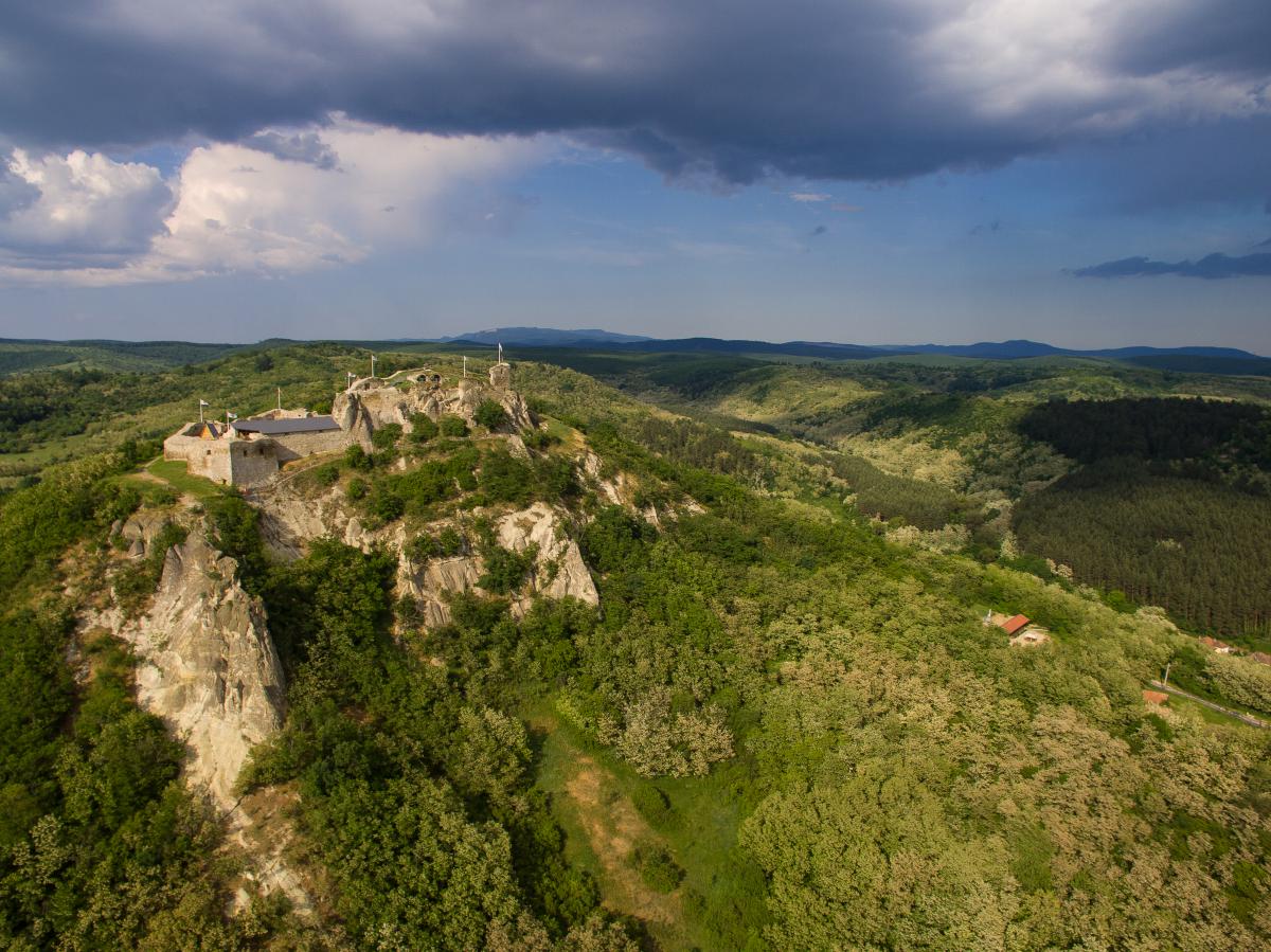 Koncz-Bisztricz Tamás