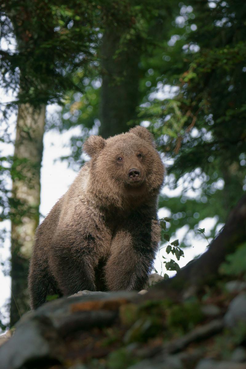 Kalmár Lajos Gábor