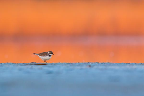 Két világ határán