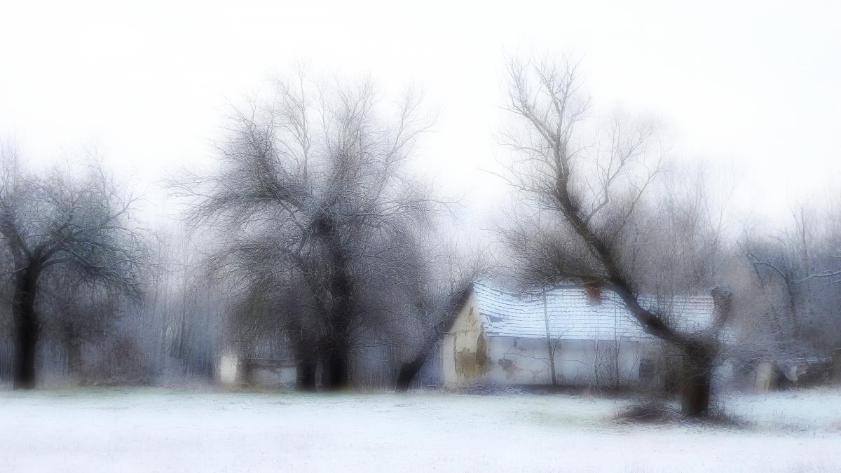 Koncz-Bisztricz Tamás