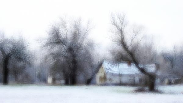 Bokrosi tanyavilág -festmény