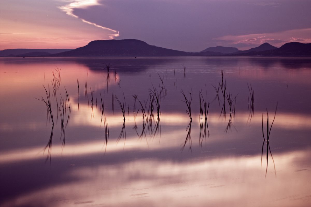 Sándor-Tóth Zsuzsanna