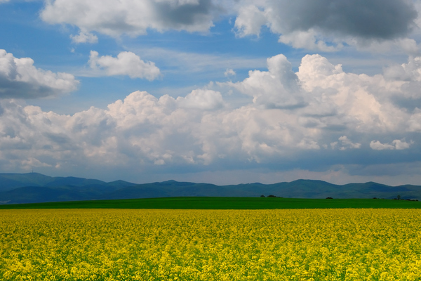 A természet színei